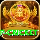 2022 world cup cricket Turbo Pro v3.5.0