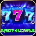 andy flower Apps (Tools & Injectors) Deluxe v2.4.1