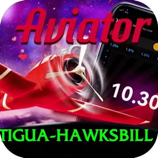 antigua hawksbill Pro Max v3.5.8 - 2