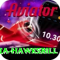 antigua hawksbill Pro Max v3.5.8