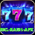 bbl big bash apk Apps (Tools & Injectors) Plus v4.0.4