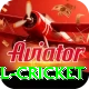 bbl cricket Games (Casino & Earning) Master v1.5.4