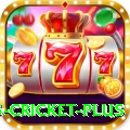 bet365 cricket Casino Extreme v3.9.4