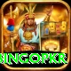 bingopkr Apps (Tools & Injectors) Premium v1.9.2
