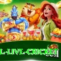 bpl live cricket Max v4.6.0