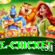 bpl live cricket Max v4.6.0