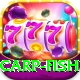 carp fish Max Pro v2.8.2