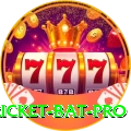 cricket bat Casino Official v2.4.2
