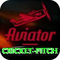 cricket pitch Apps (Tools & Injectors) Max v1.4.4