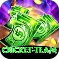 cricket team Deluxe Edition v2.1.0