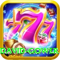 david gower Deluxe Pro v5.9.0