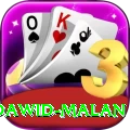 dawid malan Deluxe Edition v2.2.9