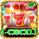early payout cricket App
