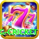 eng cricket Pro1 v5.9.7