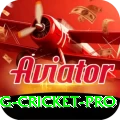 eng cricket Slots Master v3.4.4