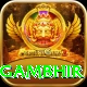 gautam gambhir VIP Pro v2.3.8