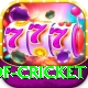 god of cricket Games (Casino & Earning) Gold v2.9.4