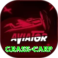 grass carp Ultimate v3.4.8