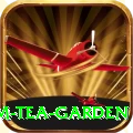 hile ilam tea garden Pro1 v3.3.6