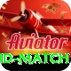 india new zealand match Pro Edition v5.3.7