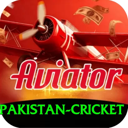 india pakistan cricket Premium Edition v3.5.1 - 2