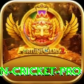 india pakistan cricket Premium Casino App