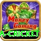 india sri lanka cricket Deluxe v1.3.0