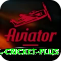 international cricket Game Extreme v1.4.6