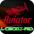 international cricket Game Champion v3.9.6