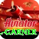 joel garner Premium v2.7.8