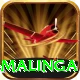 lasith malinga VIP Pro v2.9.1