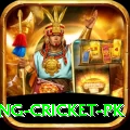 make money betting cricket pk Pro v5.4.0