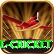 mobile cricket Ultimate Pro v1.1.8