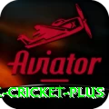 mobile cricket Casino Champion v1.1.0