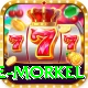 morne morkel Plus Pro v2.1.0