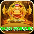 naseem shah yorkers Deluxe Pro v4.0.0