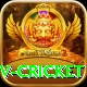 ndtv cricket Turbo Pro v3.9.1