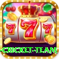 new zealand cricket team Gold Edition v3.7.3