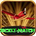 next cricket match Pro Edition v2.8.3