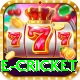 one cricket Plus