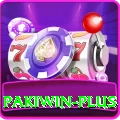 pakiwin Master v3.0.6