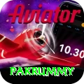 pakrummy Apps (Tools & Injectors) Turbo v4.0.1
