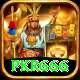 pkr666 Pro