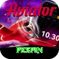 pkspin VIP Edition v4.7.5