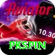 pkspin VIP Edition v4.7.5