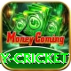 play cricket Max v1.9.8