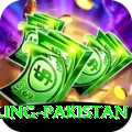 responsible gambling pakistan Ultimate v3.8.7