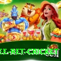 risk free bet cricket Ultimate Pro v1.1.5