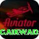 ruturaj gaikwad VIP Pro v5.5.0