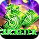 shahrukh khan cricketer Games (Casino & Earning) Ultimate v4.3.5